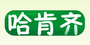 广州市哈肯齐贸易有限公司