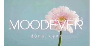 MOODEVER四川分公司