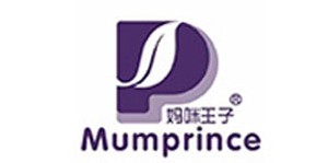 广州新生代婴儿用品有限公司