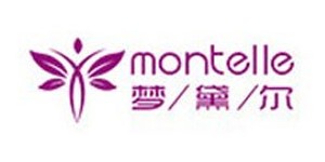 深圳市蒲公英科技有限公司 深圳市蒲公英科技有限公司