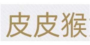 深圳市宝安区皮皮猴童装厂 深圳市宝安区皮皮猴童装厂