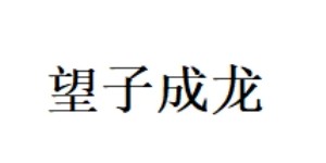 广州市望成龙发展有限公司