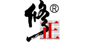 吉林修正电子商务有限公司