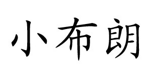 小布朗有限公司