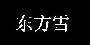 北京东方雪制衣有限公司