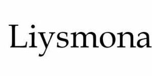 深圳市思邈贸易有限公司 深圳市思邈贸易有限公司