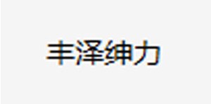泉州市丰泽绅力婴童服饰有限公司/绚象（香港）实业公司