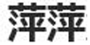 萍萍童装公司 萍萍童装公司