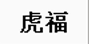 湖州虎福童装有限公司 湖州虎福童装有限公司