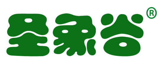 河南华美服饰有限公司