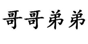 绍兴市上虞区哥弟童装有限公司 绍兴市上虞区哥弟童装有限公司