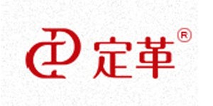 武汉定革商贸有限公司