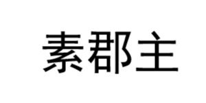 天津素郡主服装服饰有限公司