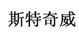 斯特奇威时装有限公司   