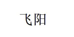 深圳飞阳服饰有限公司 深圳飞阳服饰有限公司