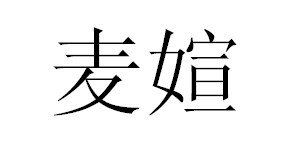 天津圣嘉服饰有限公司