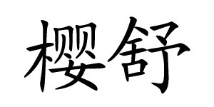 德国樱舒母婴用品有限公司