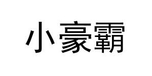 小豪霸服饰有限公司 小豪霸服饰有限公司