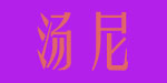 东莞市汤尼服饰有限公司
