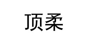 山西顶柔服饰有限公司