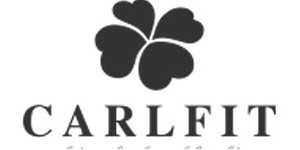 卡儿菲特童装山西分公司