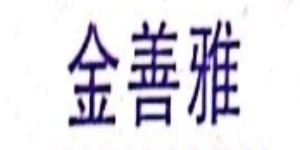 汕头市雅健服饰实业有限公司