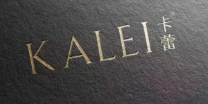 河南共赢服饰有限公司