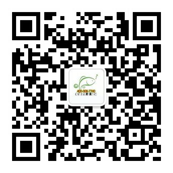 东莞市伟泰服饰有限公司