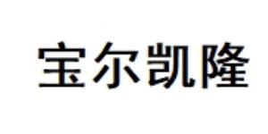 广州缤菲儿鞋业有限公司/宝尔凯隆国际贸易(北京)有限公司 广州缤菲儿鞋业有限公司/宝尔凯隆国际贸易(北京)有限公司