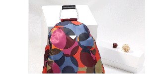 上海岚莎实业有限公司