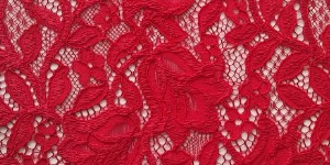 深圳市戴莉娅纺织品有限公司