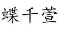 蝶千萱