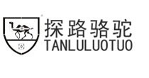 探路骆驼