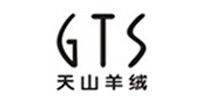 GTS 