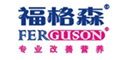 福格森