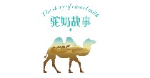 驼奶故事(The story of camel milk)