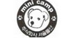 迷你肯(mini camp)