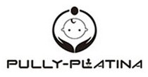 PULLY PLATINA