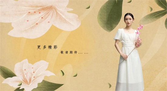  AILIZHE艾丽哲 十三载匠心铸就经典