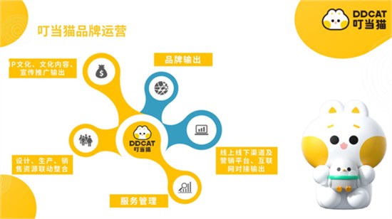 聚焦品牌化与电商协同，望江政企一行与叮当猫共话童装产业新未来