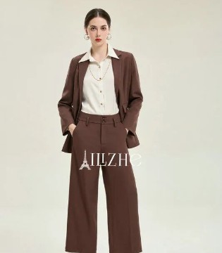 艾丽哲AILIZHE, 2025秋冬穿搭,解锁职场新风尚,引领时尚新潮流,女装,招商