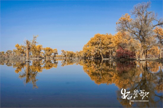 生命赞歌,奏响新疆尉犁,新瑞贝•2025中国纺织,精英赛完美收官