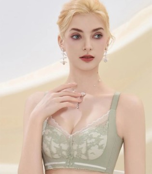 舒适内衣专家, 深圳市,百分百,女人内衣,有限公司