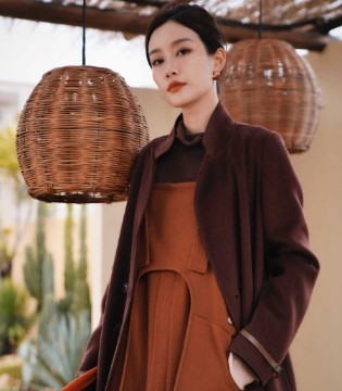 底色,Dins ,高级感,大衣美学,女装,招商,加盟