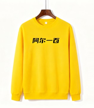 阿尔一百r,100男女款,卫衣,IP品牌,赋能下的品质,日常穿搭典范