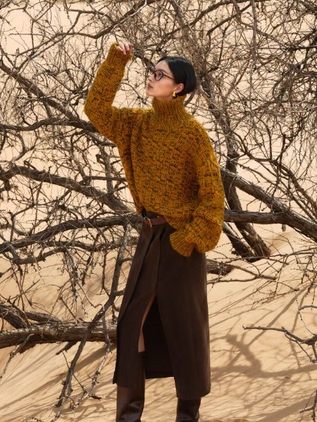 迪赛尼斯2025冬之韵:于凛冽中绽放时尚温柔