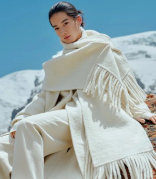 歌锦GEJIN ,2025冬装,大片,优雅之旅,招商,加盟