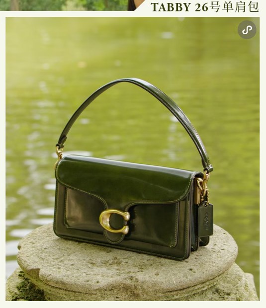 Coach蔻驰2025新品香包:经典、复古奢华新境