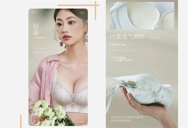 百分百女人内衣新品上市