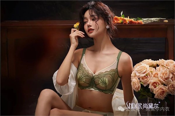 尚黛尔内衣颠覆传统格局 引领内衣加盟行业的新发展